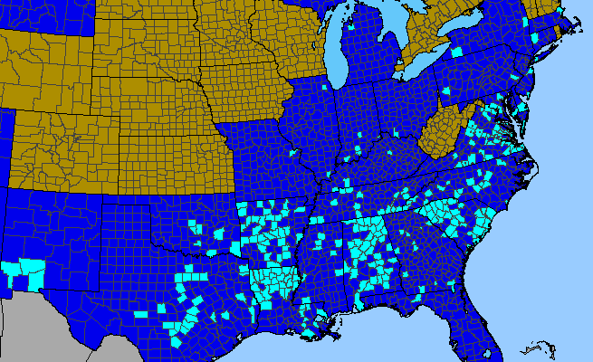 The range of Vinca major